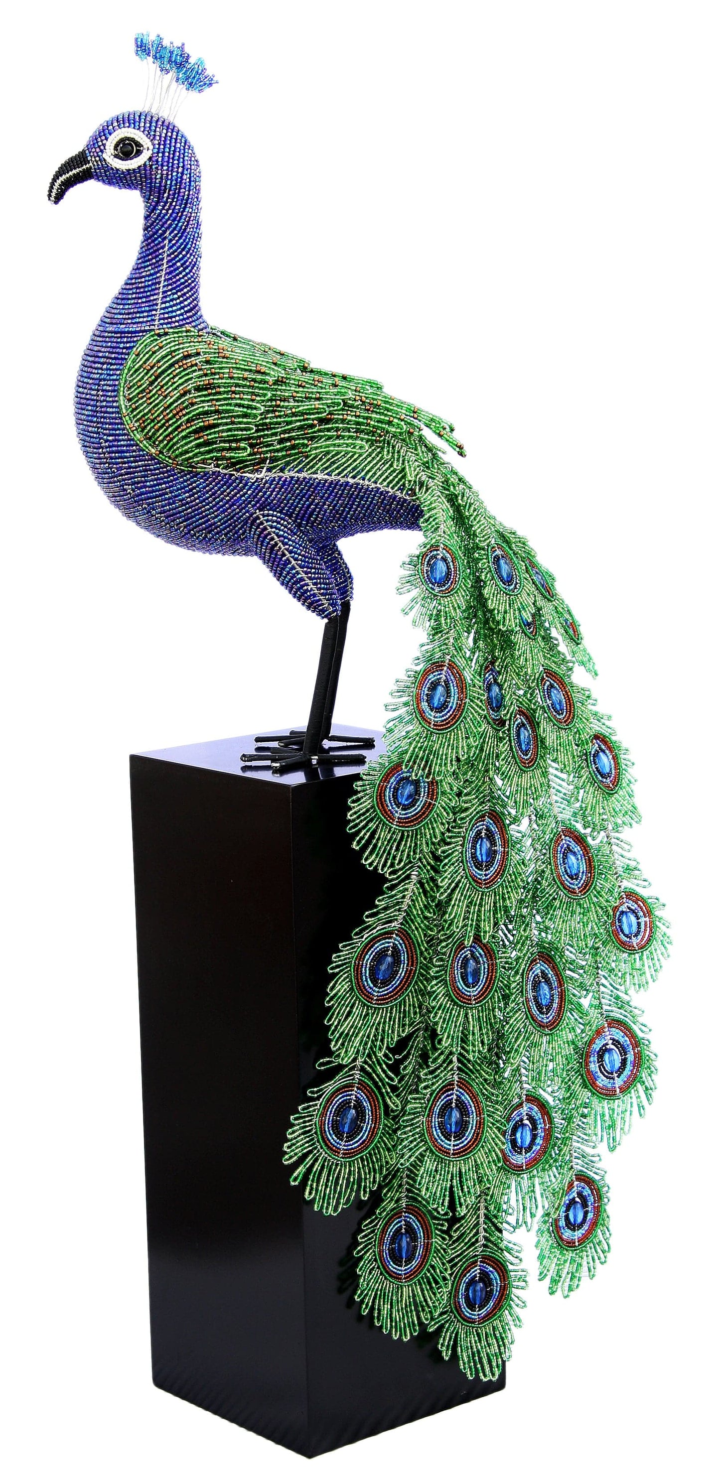 Peacock, XL  (1 Piece)