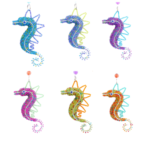 Seahorse, Baby Asst (Set of 6)