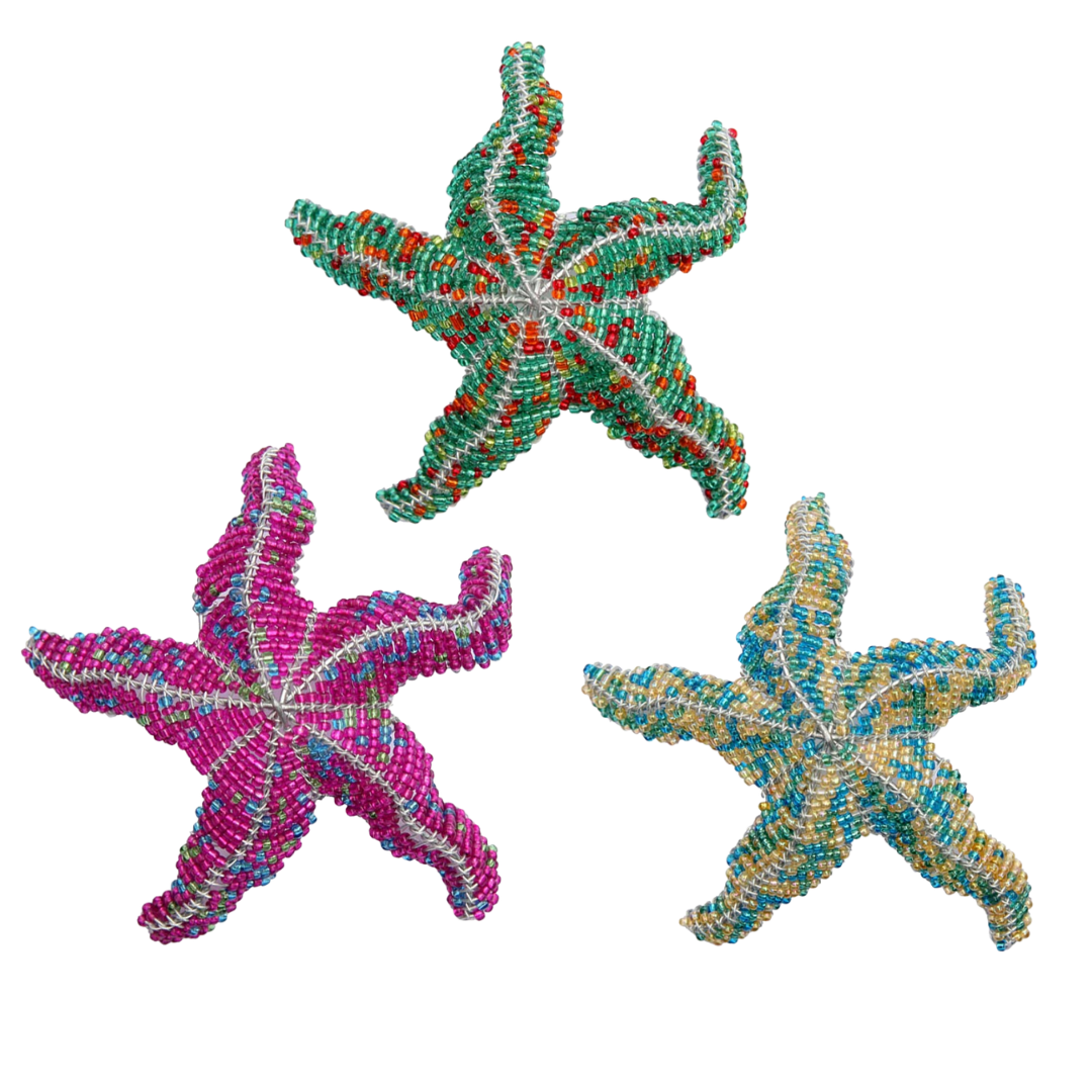 Starfish, Sm  Asst (Set of 3)